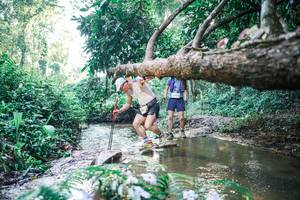 BIB: 
                            <button type="button" onclick="openModal(25434096)" class="btn btn-primary btn-sm float-right btn-popup" data-toggle="modal" data-target=".modal-high-quality">
                        <i class="fas fa-shopping-cart"></i> Add to Cart
                    </button>
                                            <button type="button" onclick="isThisMe(25434096, true)" class="btn btn-success btn-sm float-right btn-popup btn-isme hidden" data-toggle="tooltip" data-placement="bottom" title="นี่คือรูปของคุณใช่ไหม คลิกที่นี่เพื่อเอาเข้าอัลบั้ม">
                        <i class="fas fa-plus"></i> Add to album
                    </button>
                    <button type="button" onclick="isThisMe(25434096, false)" class="btn btn-warning btn-sm float-right btn-popup btn-isnotme hidden">
                        <i class="fas fa-ban"></i> Remove from album
                    </button>